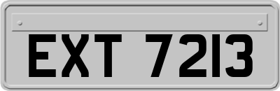 EXT7213