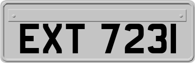 EXT7231