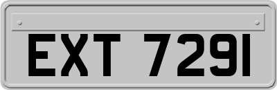 EXT7291