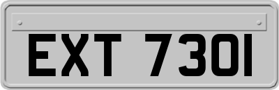 EXT7301