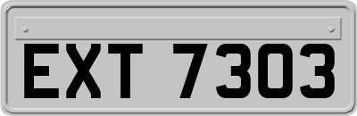 EXT7303