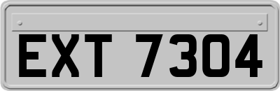 EXT7304
