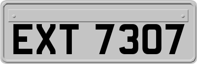 EXT7307