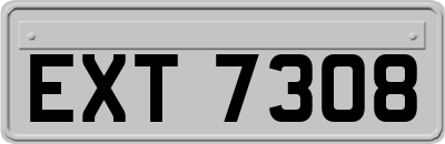 EXT7308