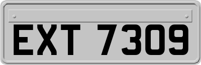 EXT7309