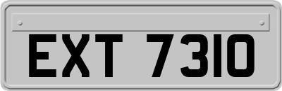 EXT7310