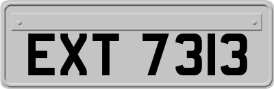 EXT7313