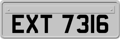 EXT7316