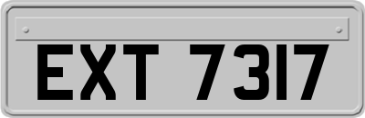 EXT7317