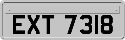 EXT7318
