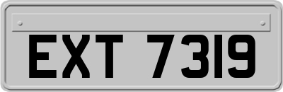 EXT7319