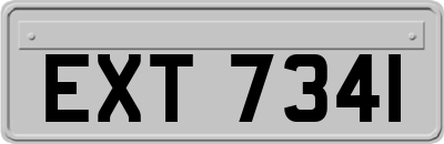 EXT7341