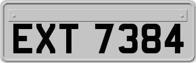 EXT7384