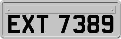 EXT7389