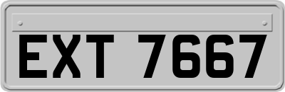 EXT7667