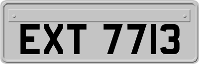 EXT7713