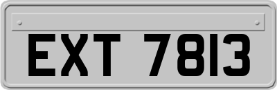 EXT7813