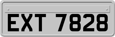 EXT7828