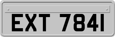 EXT7841
