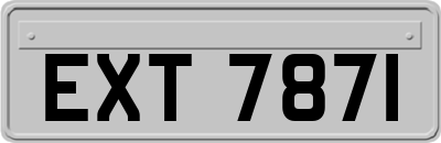 EXT7871
