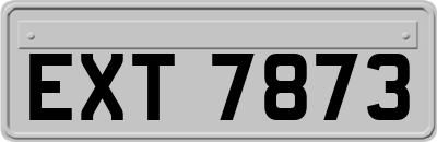 EXT7873