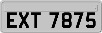 EXT7875