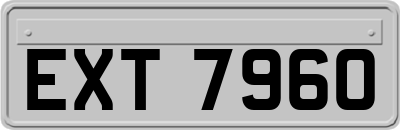EXT7960