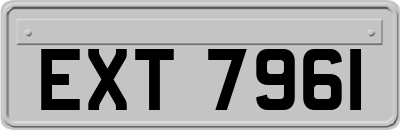 EXT7961