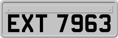 EXT7963