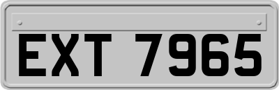 EXT7965