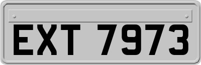 EXT7973