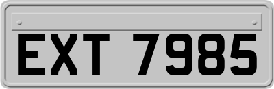 EXT7985