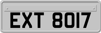 EXT8017