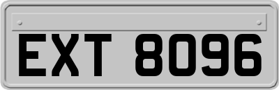 EXT8096