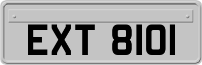 EXT8101
