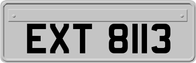 EXT8113