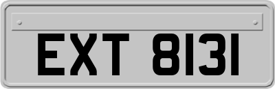 EXT8131
