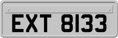 EXT8133
