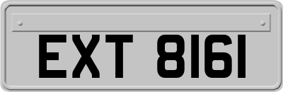 EXT8161