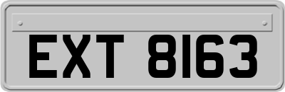 EXT8163
