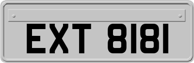 EXT8181