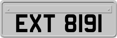 EXT8191