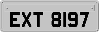 EXT8197
