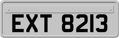 EXT8213