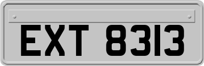EXT8313
