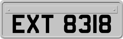 EXT8318