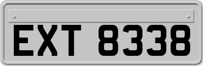 EXT8338
