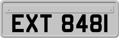 EXT8481
