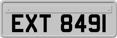 EXT8491
