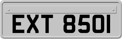 EXT8501